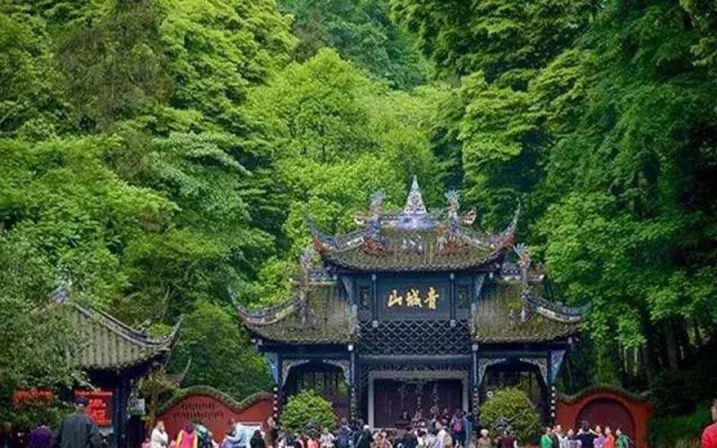 定制旅行:管理与服务专业的就业之路